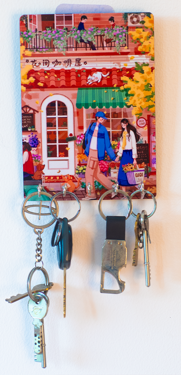 Katha Plates 5-Hook Keyholder • Multicolor • 5″×7″ • MDF • Wall-Mounted for Entryway (A Walk to Remember)