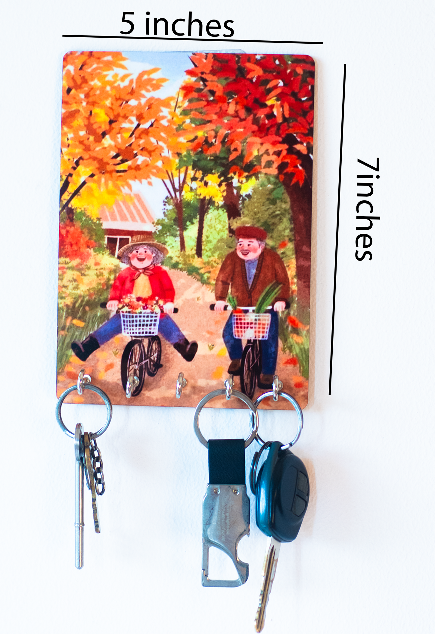 Katha Plates 5-Hook Keyholder • Multicolor • 5″×7″ • MDF • Wall-Mounted for Entryway (Bicycle Date)