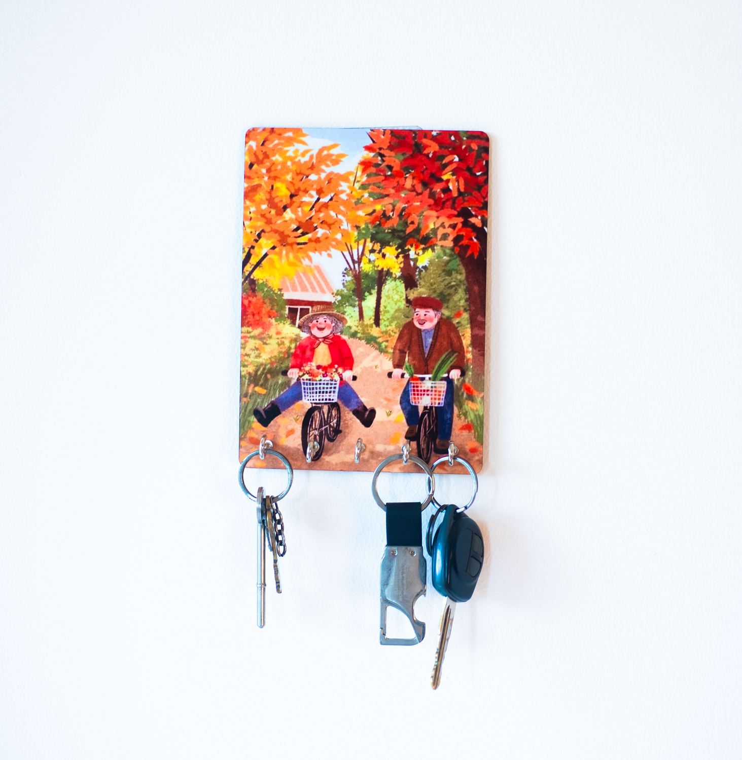 Katha Plates 5-Hook Keyholder • Multicolor • 5″×7″ • MDF • Wall-Mounted for Entryway (Bicycle Date)
